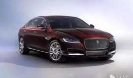 捷豹大姐爆料原视频,一场惊心动魄的冒险之旅