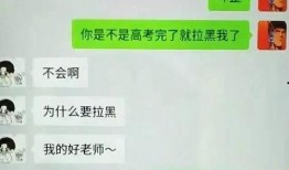 吃瓜聊天记录免费,揭秘吃瓜聊天记录背后的精彩瞬间