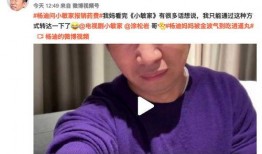 杨迪爆料视频,娱乐圈幕后真相大曝光