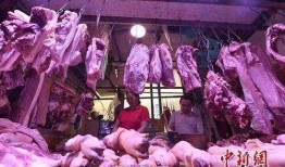 武汉猪肉爆料事件视频播放,真相与谣言的较量