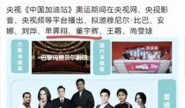 员工爆料宇辉罢演视频播放,揭秘幕后真相与视频播放背后的故事