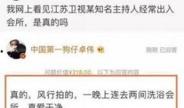 卓伟爆料小男孩视频,小男孩神秘视频引发热议