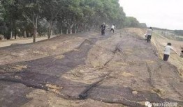 狮子山爆料视频大全集最新,揭秘幕后真相，带你走进事件核心