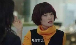 隔壁的日本妻子在线观看,揭秘日本妻子在线观看背后的故事