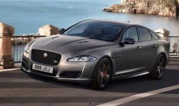 捷豹大姐爆料原视频,一场惊心动魄的冒险之旅