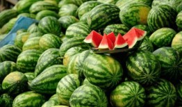 网红宏上头吃瓜,揭秘娱乐圈幕后真相