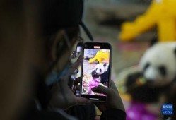 熊猫兄弟爆料视频