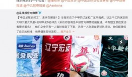 中乙教练爆料视频最新在线观看,揭秘足球圈幕后真相