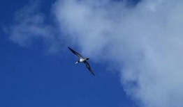 美好的的飞行在线观看,探索美好的飞行在线观影之旅