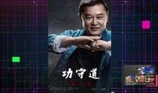 爆料功夫视频大全,揭秘武林高手绝技，一招一式尽收眼底