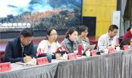 新闻故事爆料怎么写好,独家爆料背后的真相与内幕