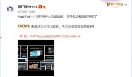 怎么看官方最新爆料信息